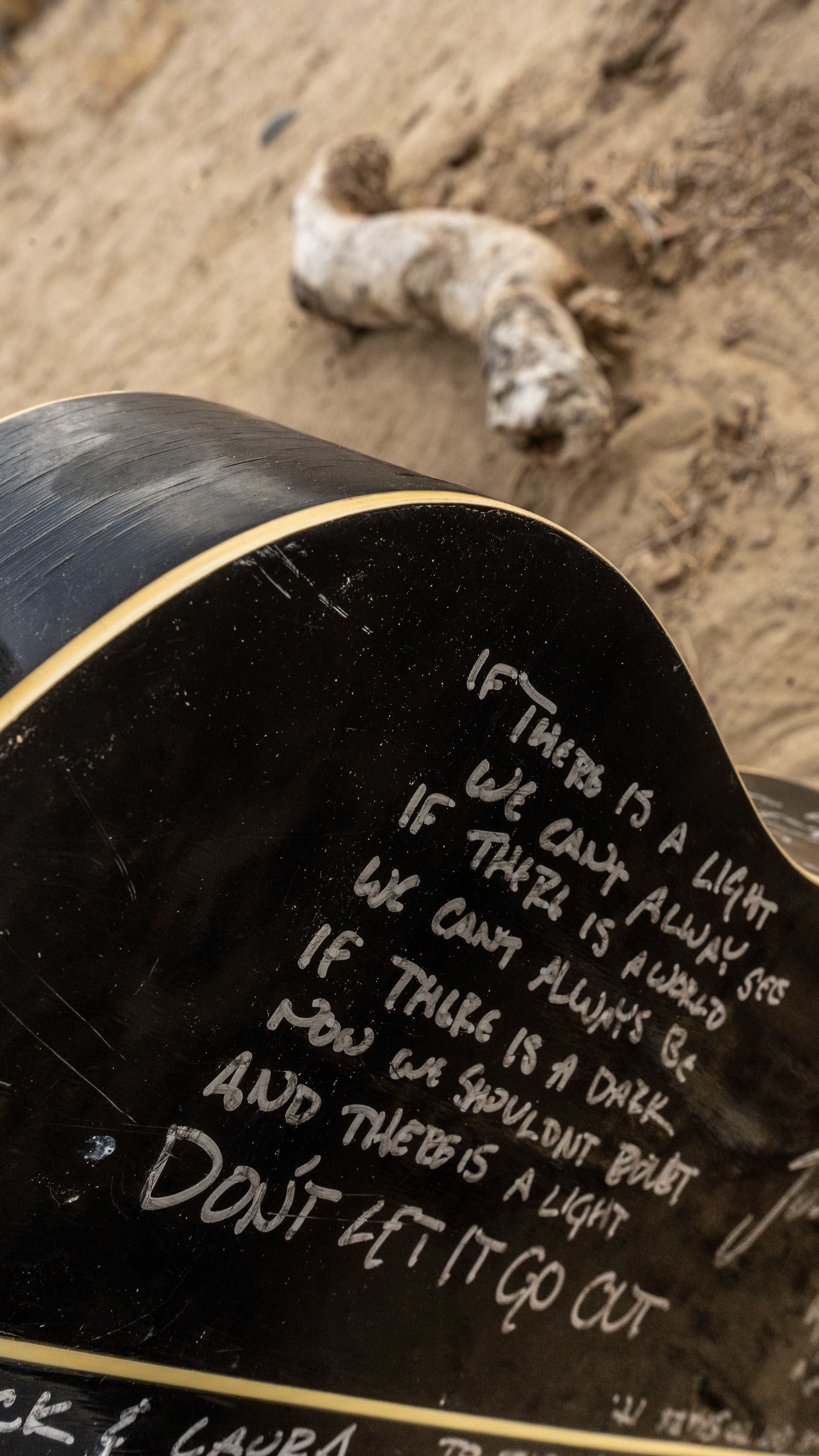 Palmer Guitar