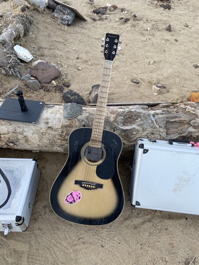 Palmer Guitar