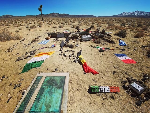 Joshua Tree site photograph from Instagram